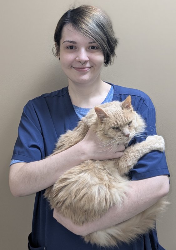 Dr. Kimberly