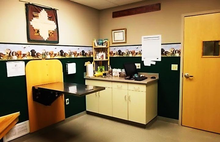 cicero animal clinic examination room