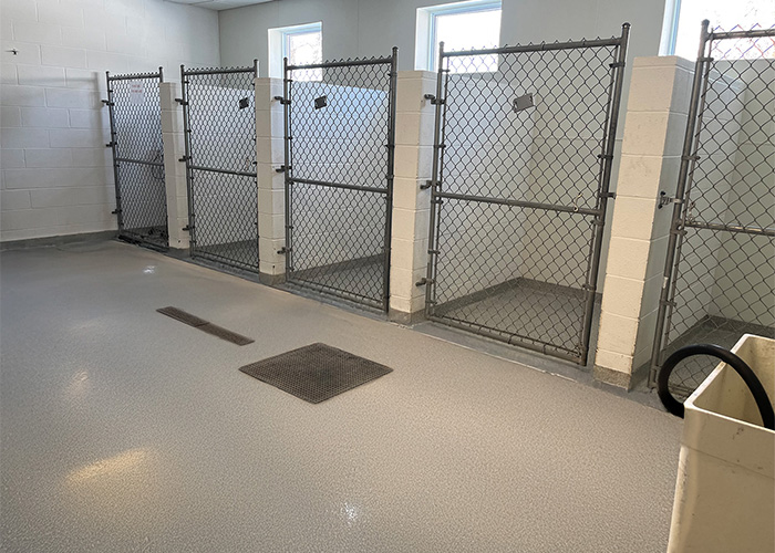 Interior of a kennel with multiple chain-link fenced enclosures and a shiny floor.