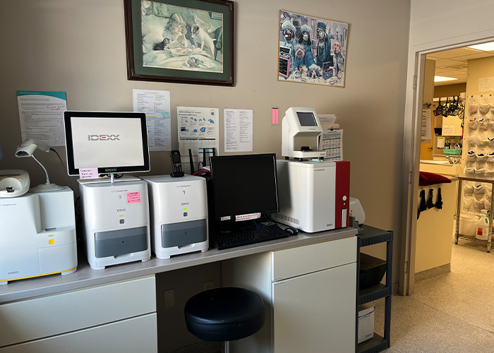 Veterinary lab workstation with multiple diagnostic machines and a computer.