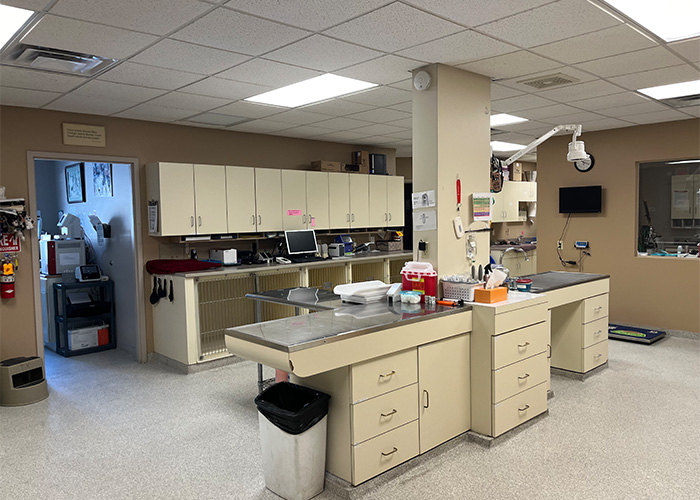 Interior of a clinical laboratory with cabinets, equipment, and a central work table.