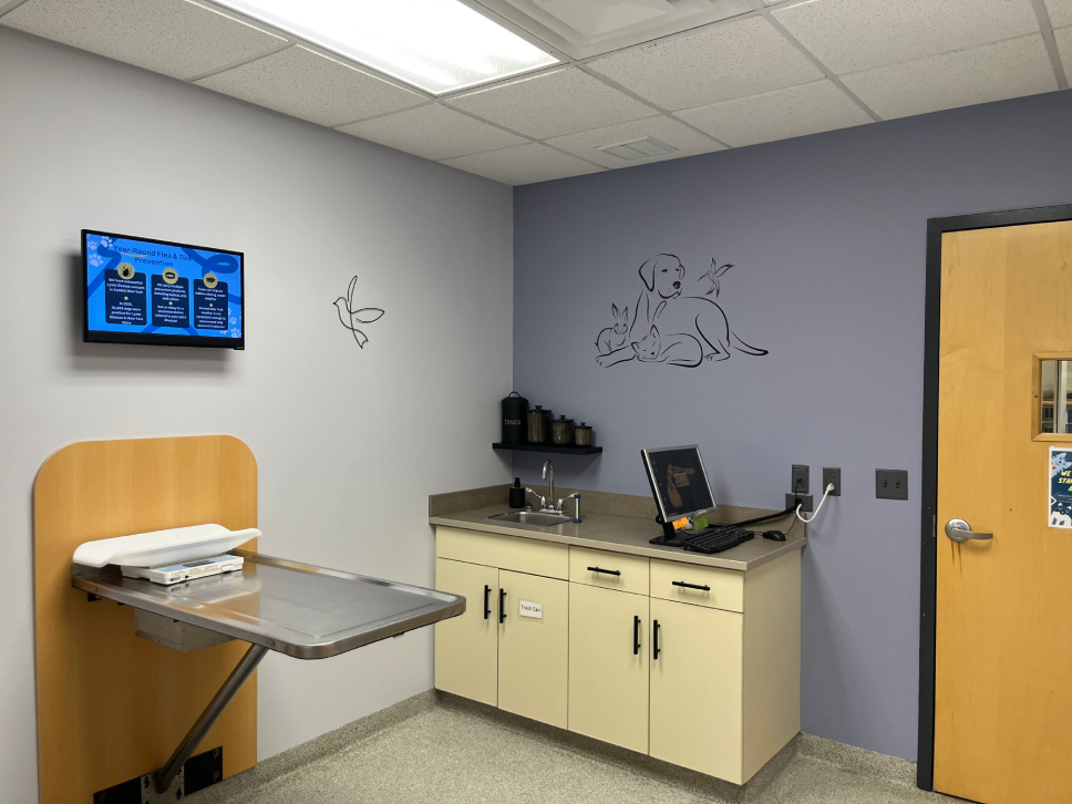 A veterinary examination room with pet-themed wall art, a medical table, and a mounted digital screen.