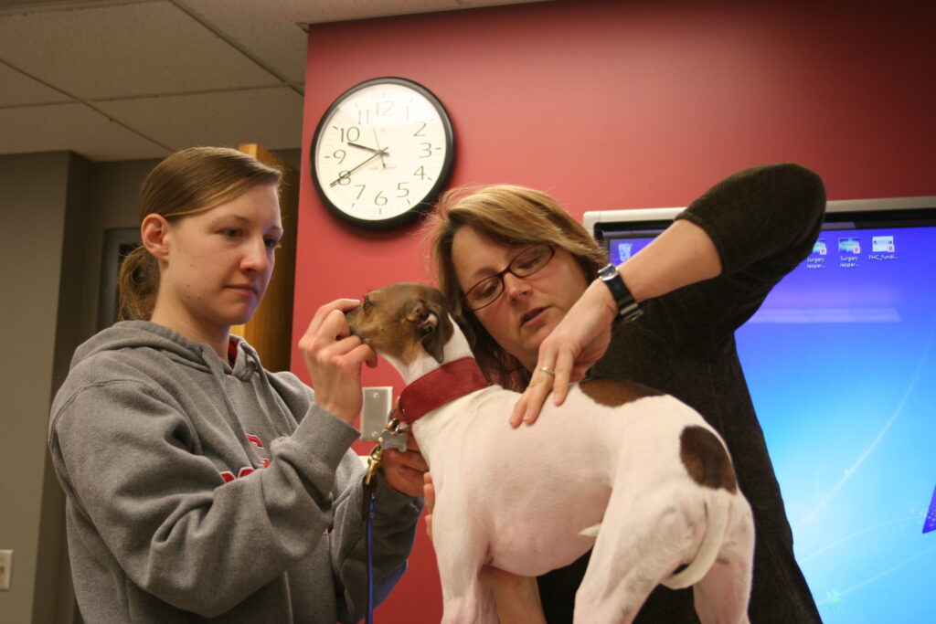 Two women examining a small dog in a clinic environment.
