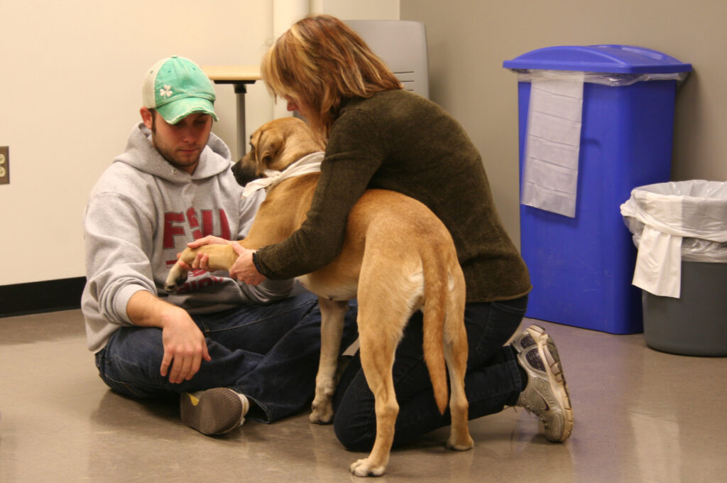Two adults kneeling on a floor, affectionately interacting with a brown dog.