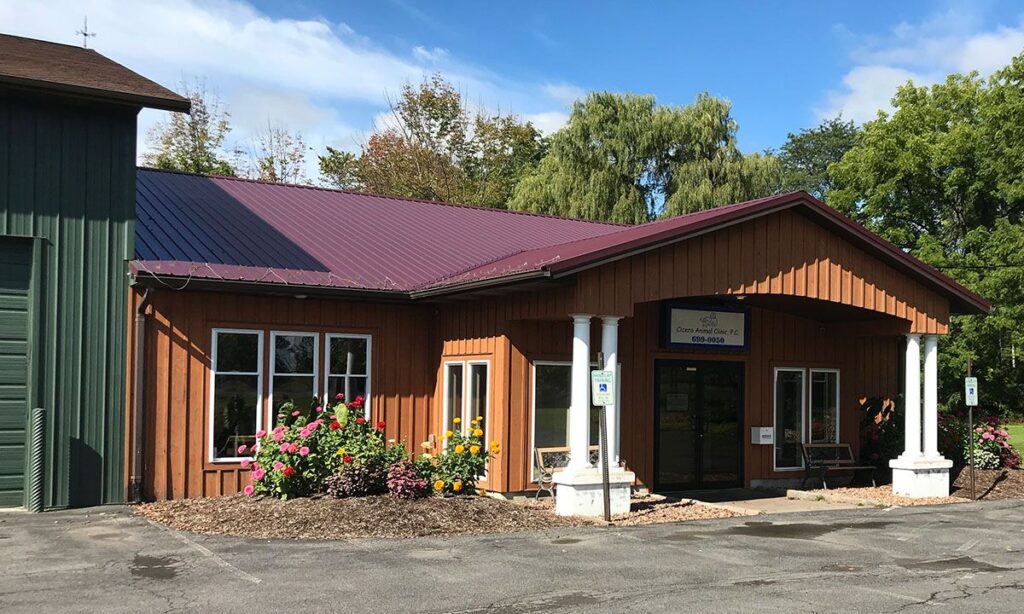 Small clinic with a red roof and wooden facade, surrounded by vibrant flower beds.