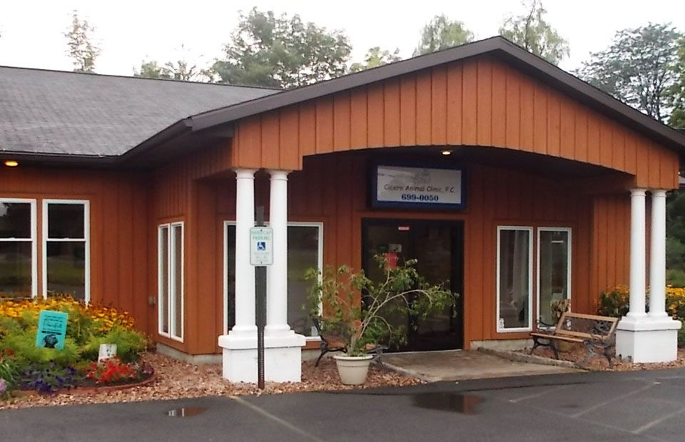 Front entrance of an animal clinic with orange siding and white columns, surrounded by colorful flowerbeds.