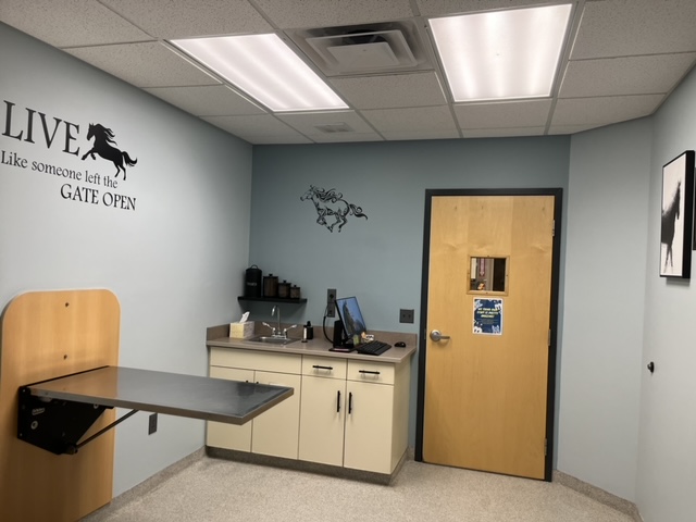 Office room with a countertop, computer, fold-down desk, and horse-themed wall decor.