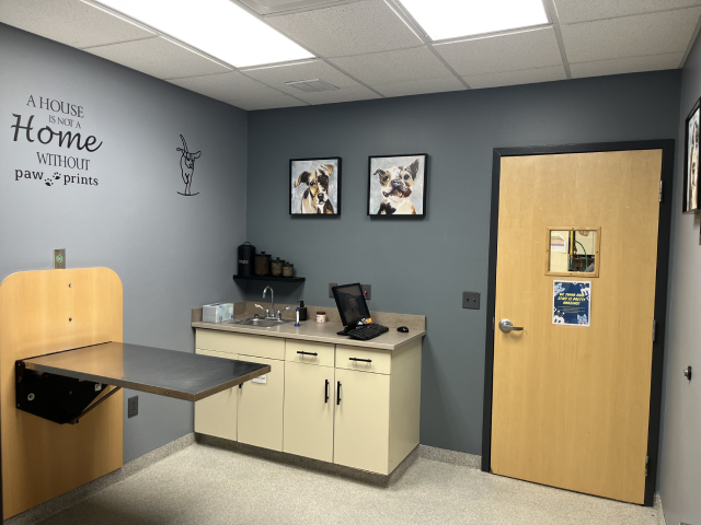 Veterinary clinic room with a consultation table, cabinets, and dog portraits on the wall.