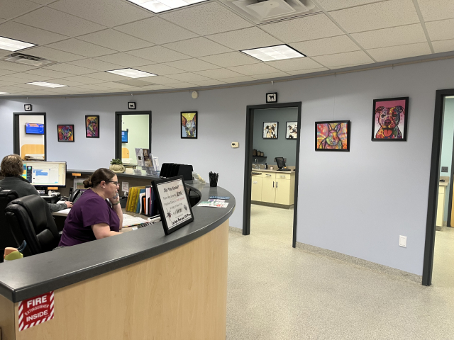 Office reception area with two employees and colorful wall art.