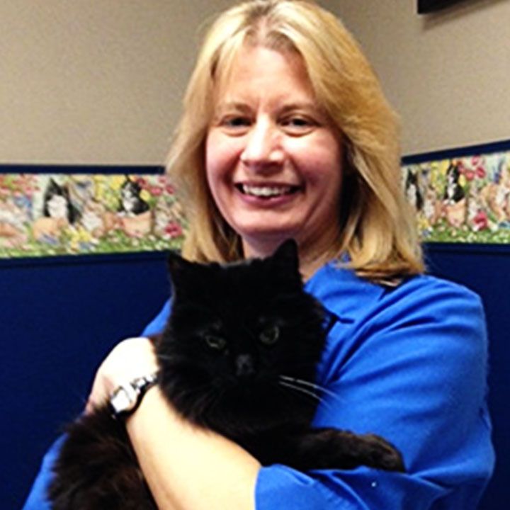Woman in blue shirt holding a black cat.