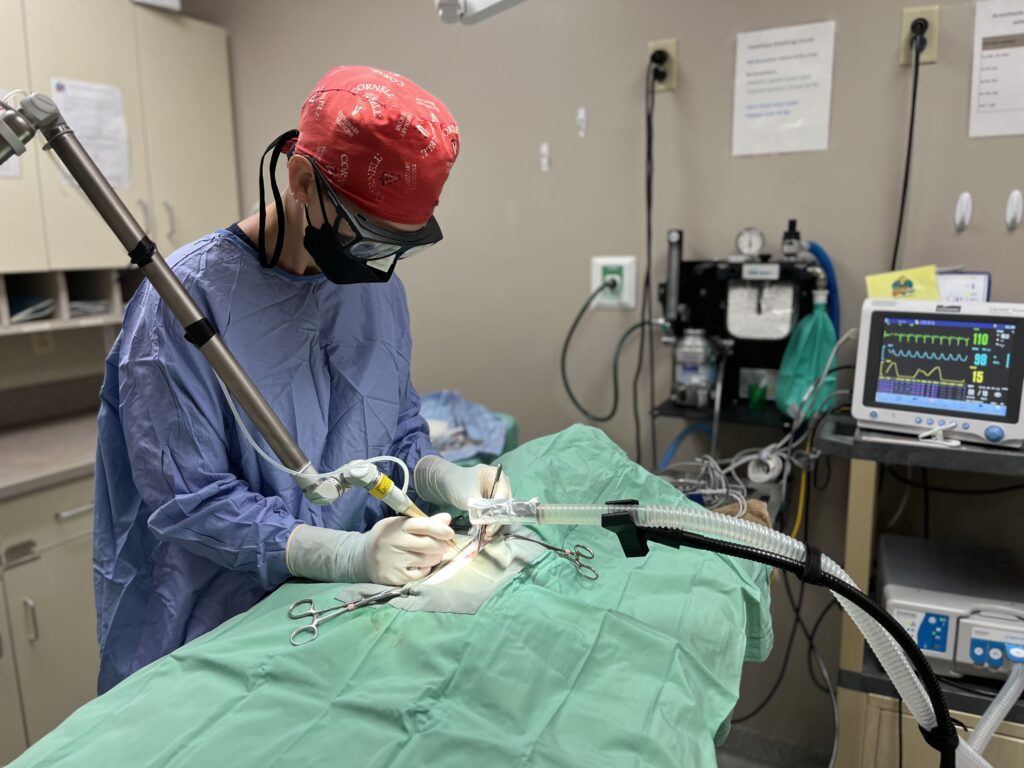 Surgeon performing a procedure with medical instruments in an operating room.
