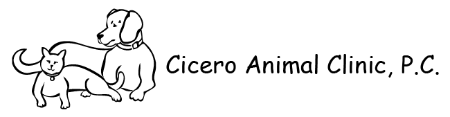A logo in black silhouette with a transparent background.