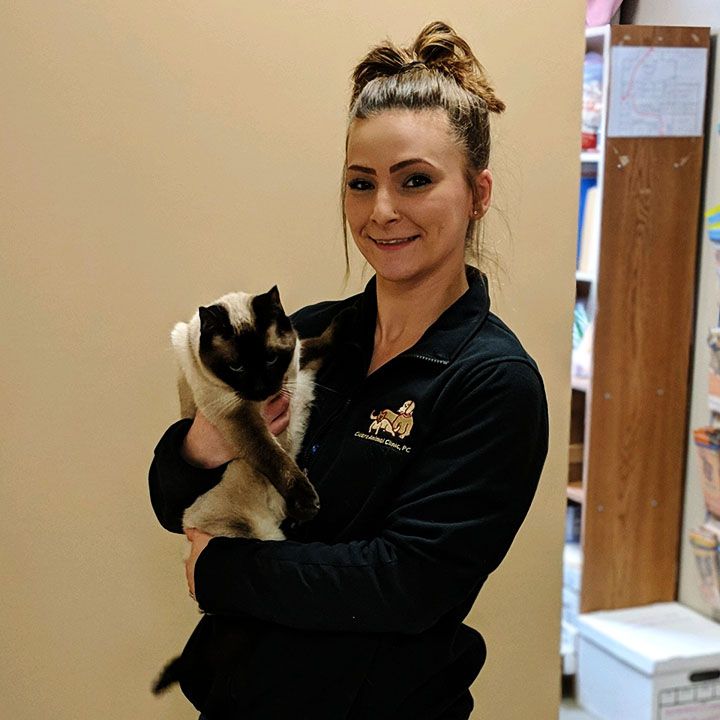 Woman in a black uniform holding a Siamese cat.