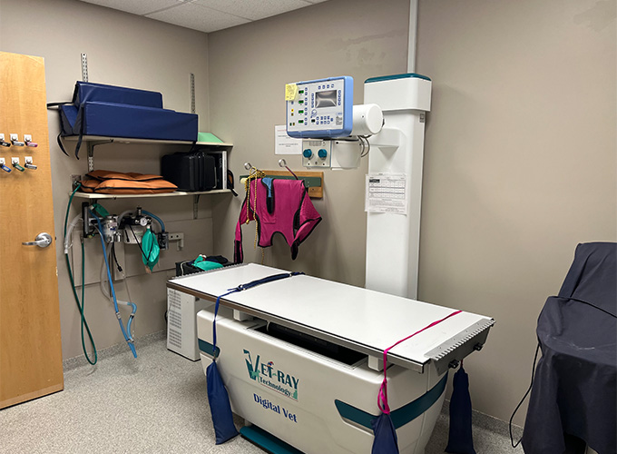 A veterinary clinic's examination room with x-ray equipment and various medical supplies.