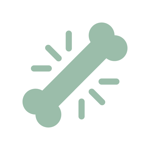 Illustration of a green bone with radiating lines, suggesting motion or shine.