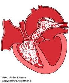 A drawing of a red heart.