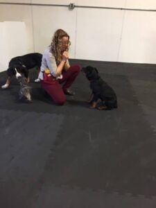 A woman kneeling and interacting with two dogs on a smooth indoor surface.