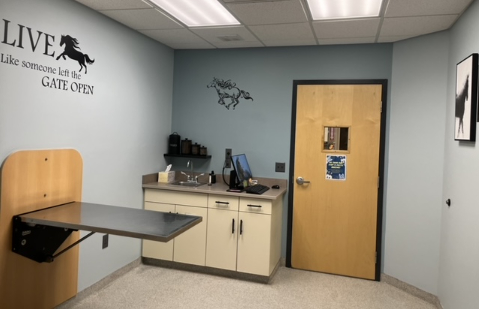 A veterinary room with a brown door and a beautiful logo on the wall.