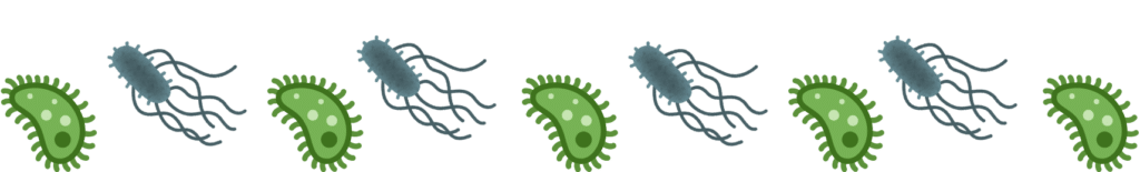 Common pet parasites that harm cats and dogs