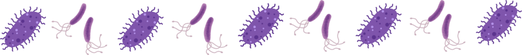 Different parasites, representing the need for pet parasite prevention with Cicero Animal Clinic in Cicero, NY