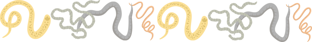 Heartworms and intestinal parasites in Cicero, NY